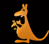 kangaroo
