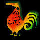 lady rooster