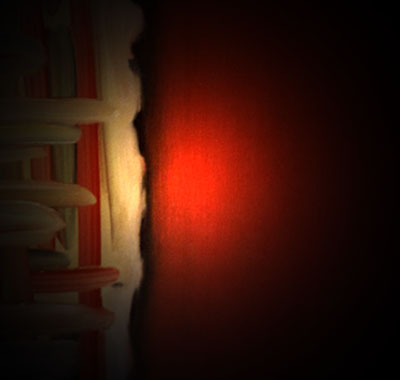 -- THE HIDDEN APPLE --