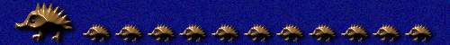 porcupine family
